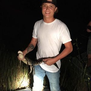 Meet your Posher, Phillip